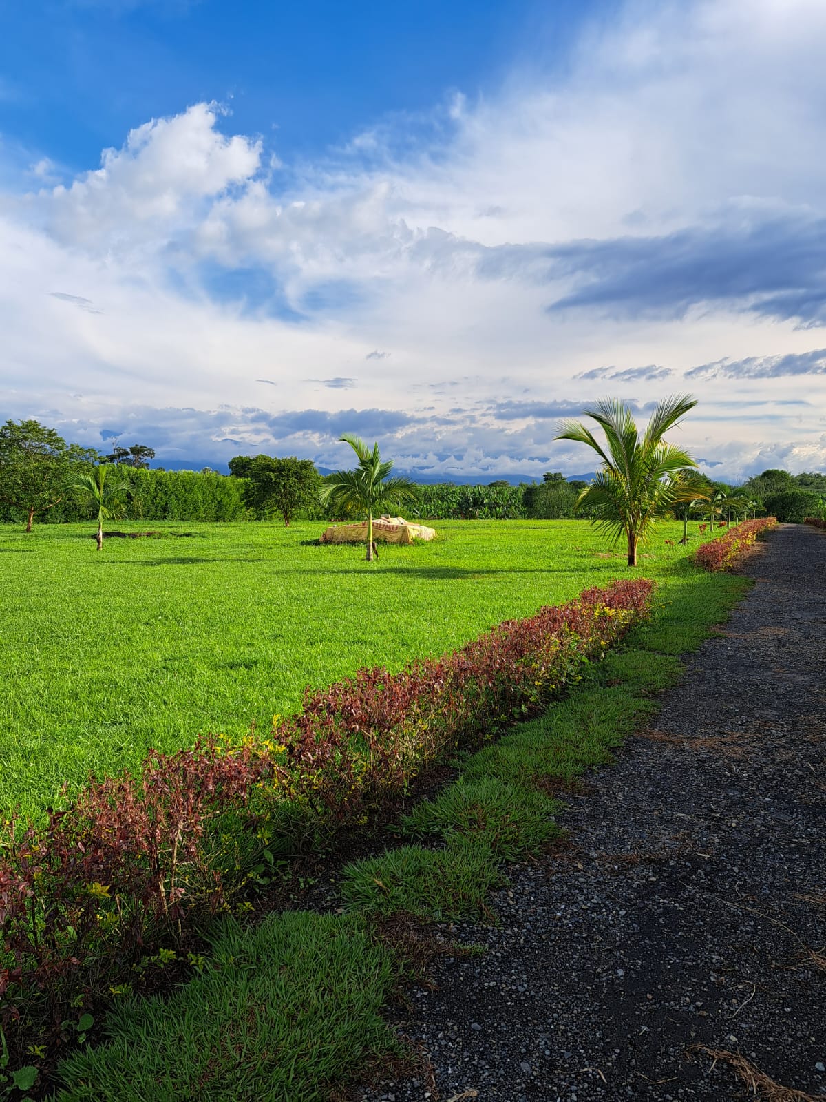 Venta de Lote en Pueblo Tapado Quindio