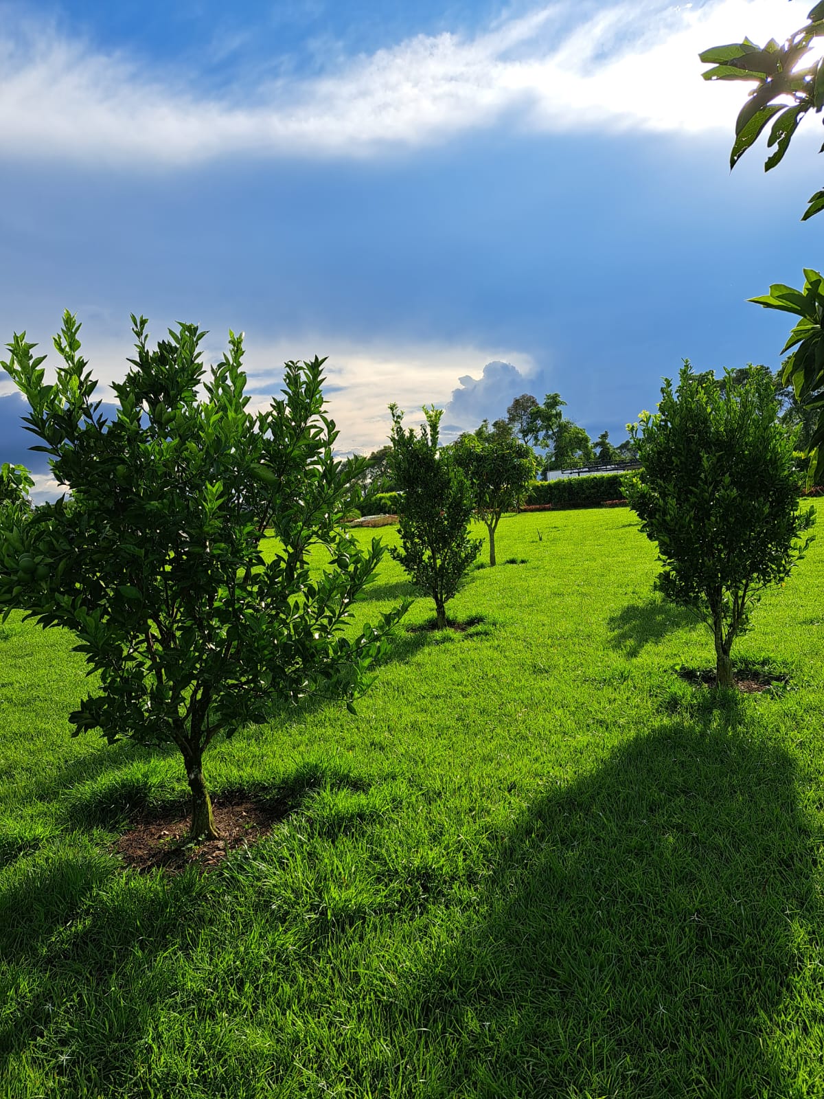 Venta de Lote en Pueblo Tapado Quindio