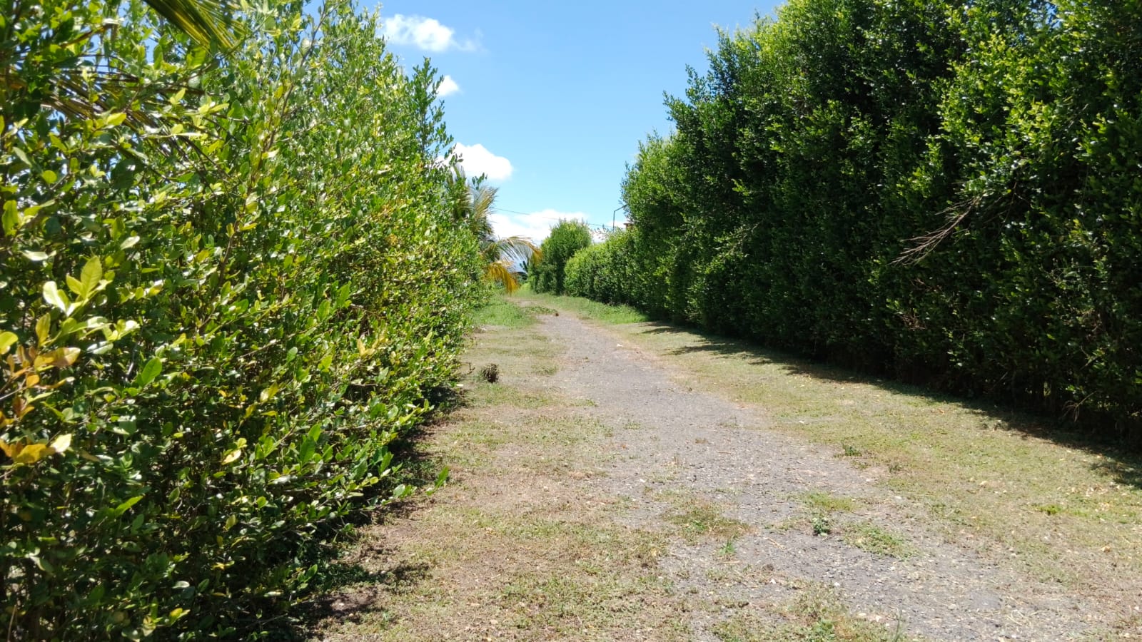 Venta de Lote en Pueblo Tapado Quindio