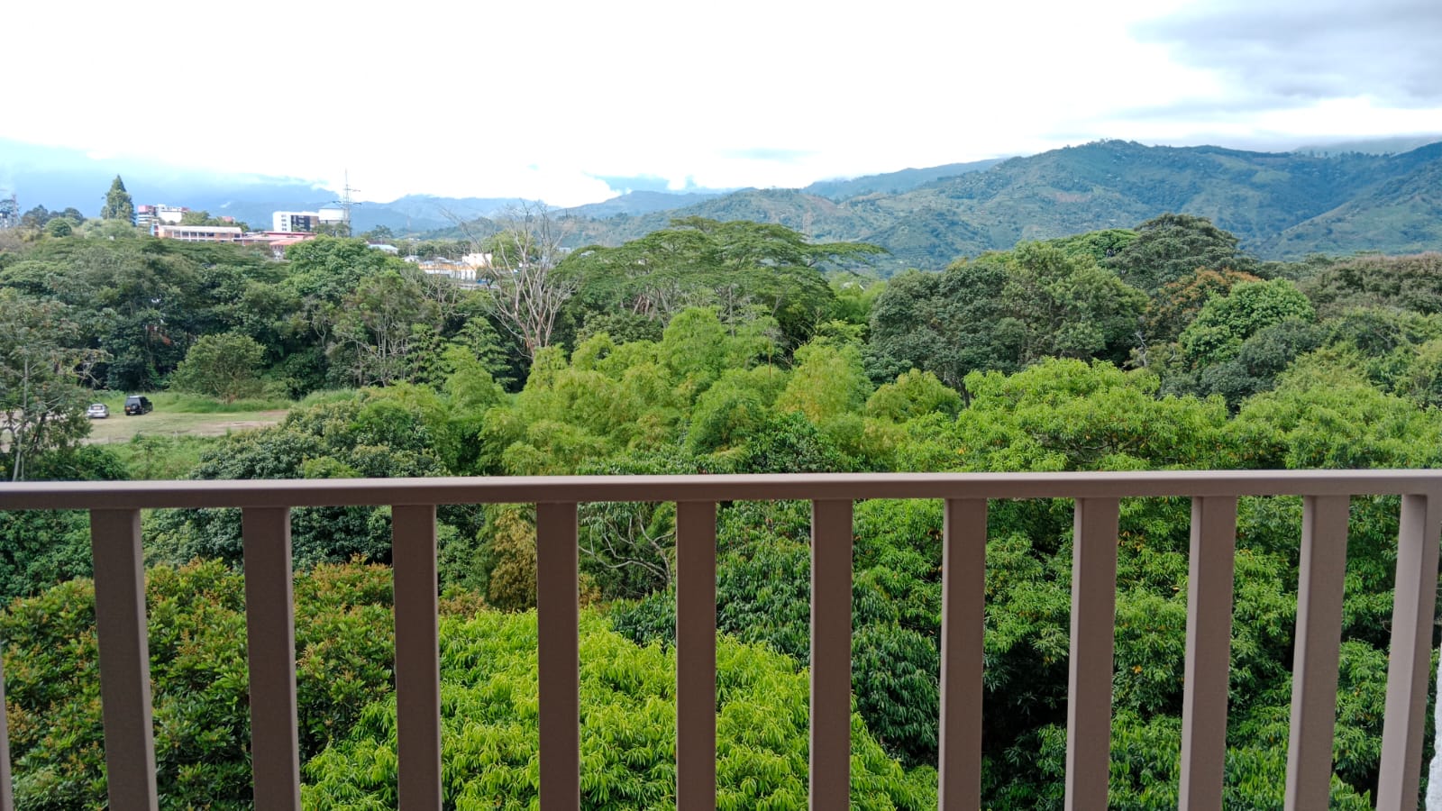 Venta apartamento avenida 19 al norte, Armenia Quindio