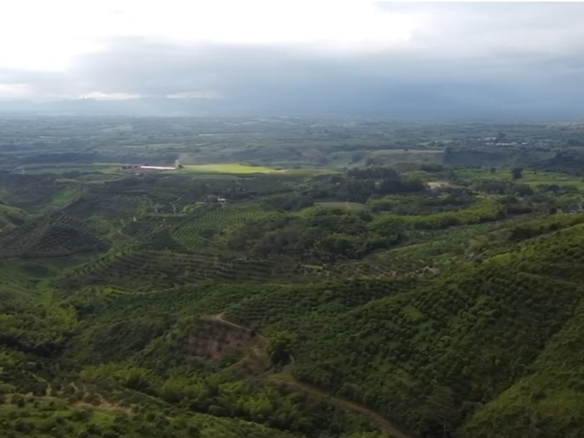 Se vende finca en el municipio de Buenavista Quindio Vereda Los Balsos