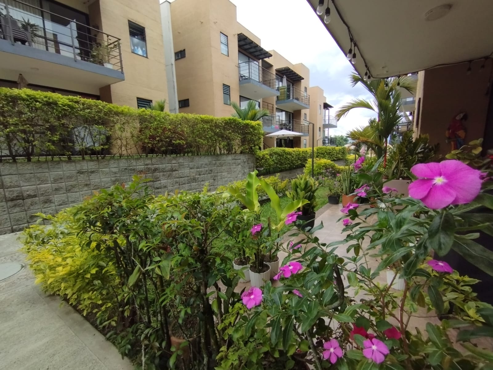 68771220251121105807 Se Vende Apartamento Amoblado Cerca al Club Campestre