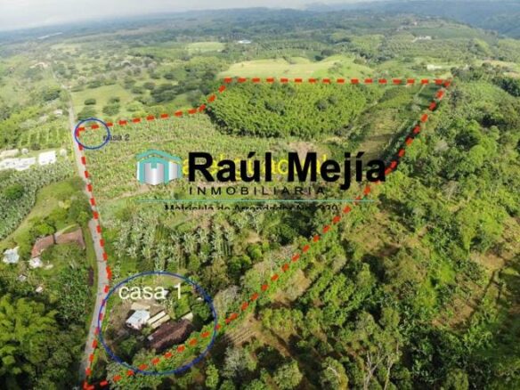 Venta de finca con  mas de 10  hectáreas  en Montenegro Quindío