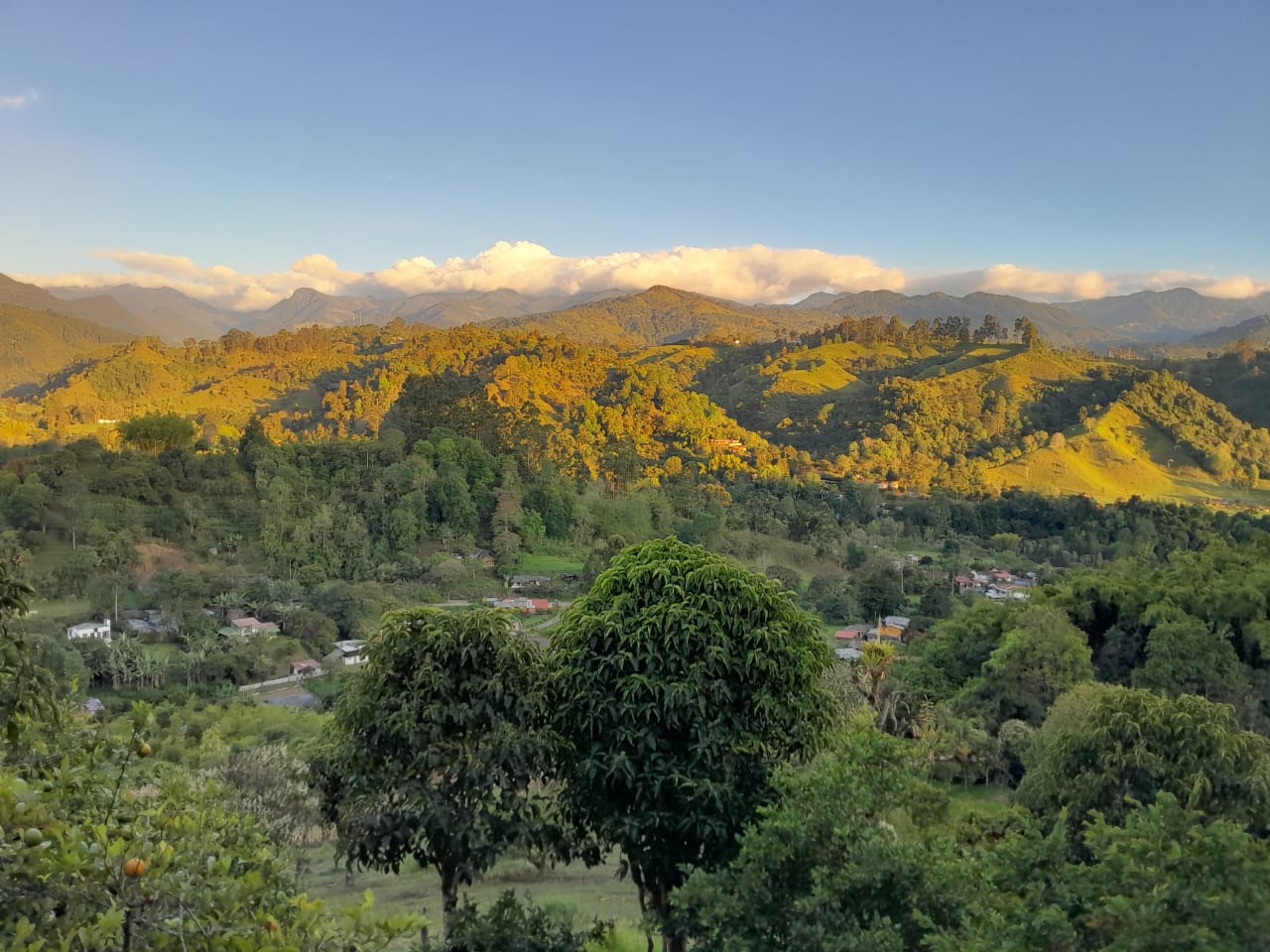 Vendo Finca sobre vía para turismo o producción Salento Quindio
