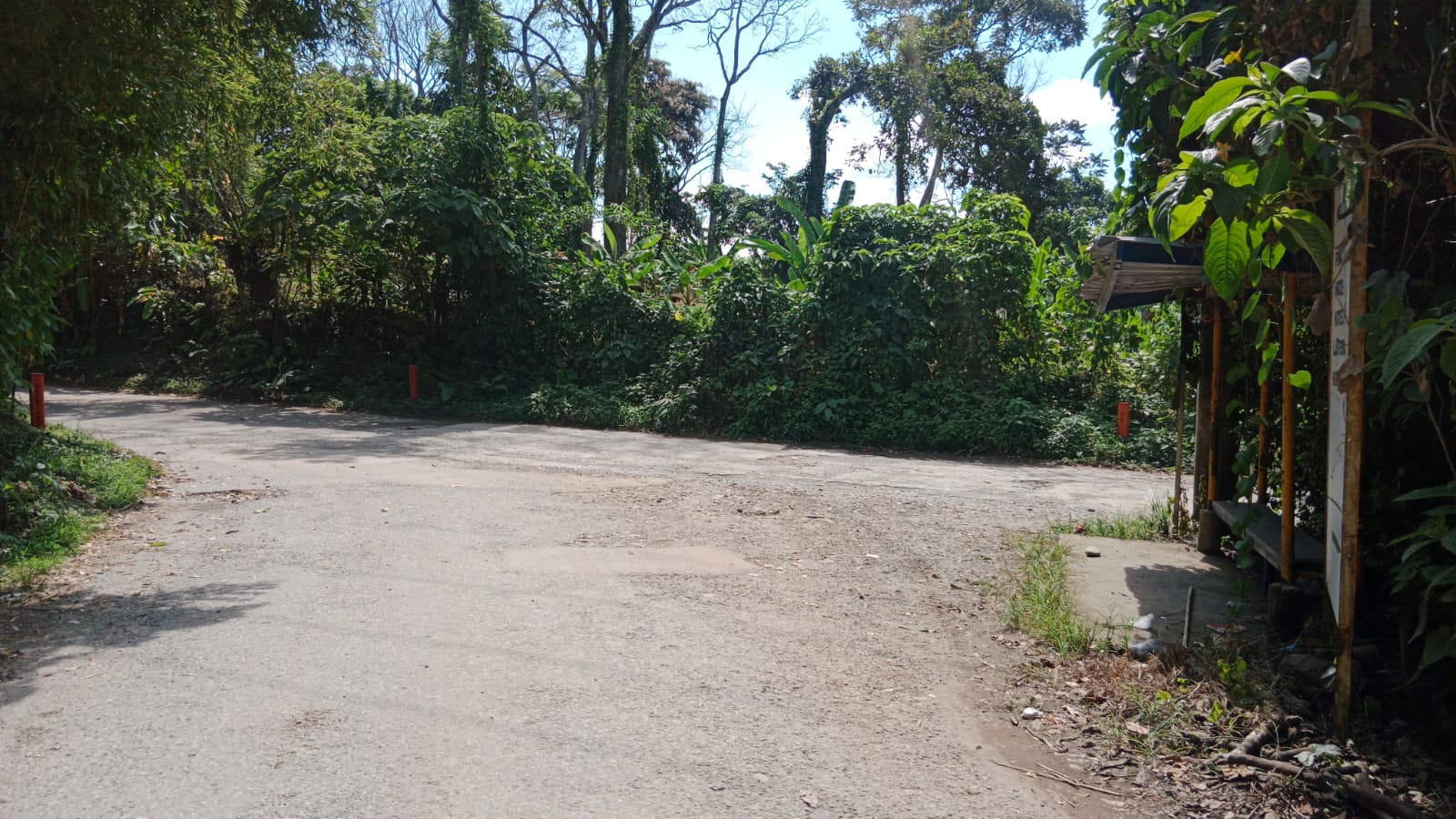 68771420240131034819 Venta de finca con mas de 10 hectáreas en Montenegro Quindío