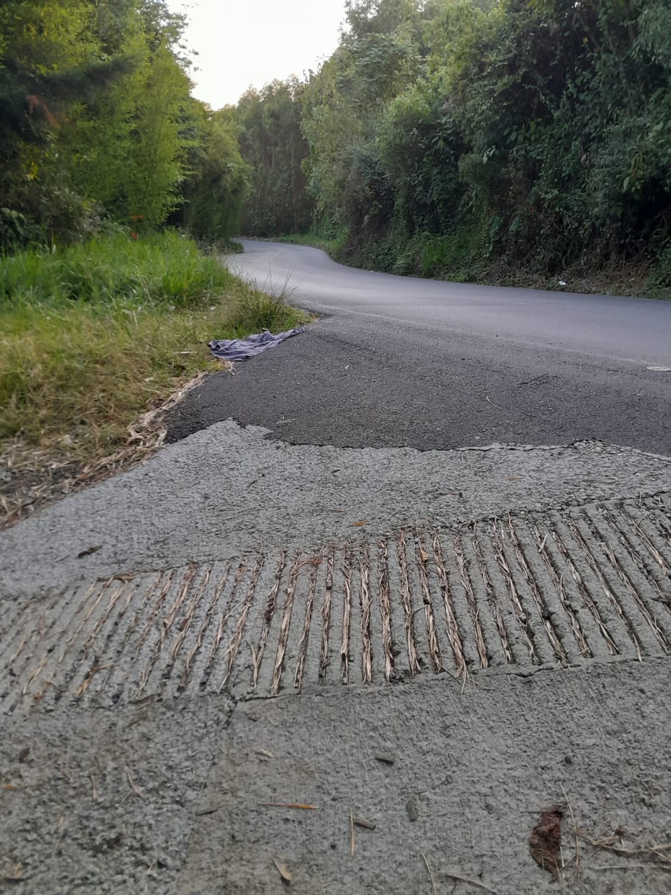 Vendo Finca sobre vía para turismo o producción Salento Quindio