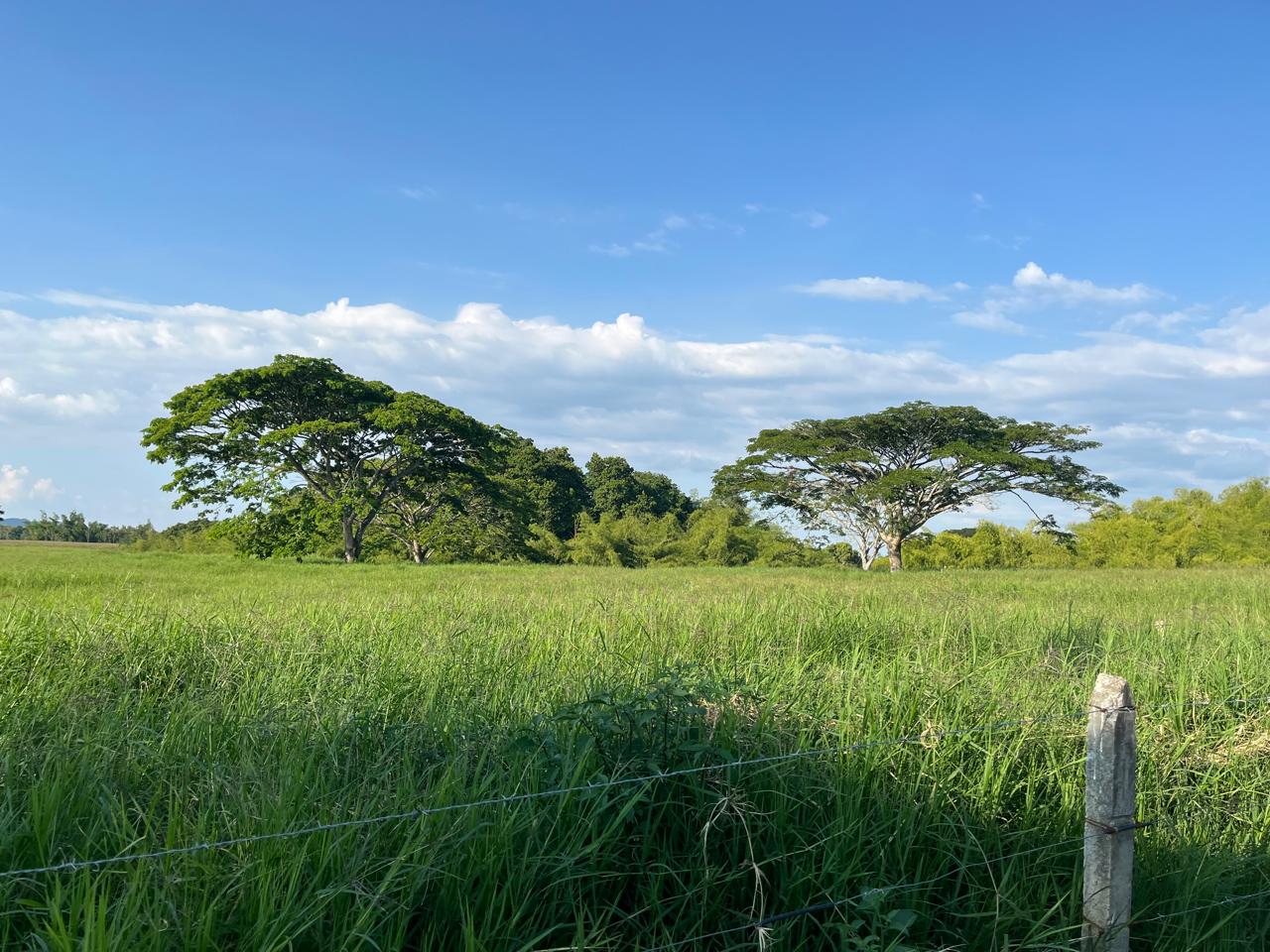 Venta de Finca en Conjunto Cerrado Montenegro Quindío de 25.600,19m2