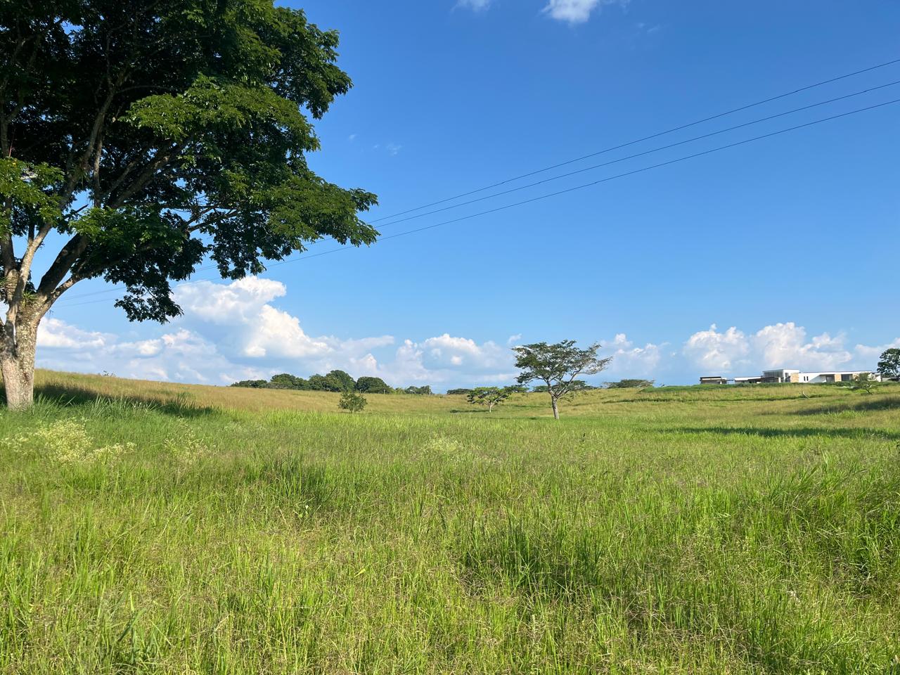 Venta de Finca en Conjunto Cerrado Montenegro Quindío de 25.600,19m2