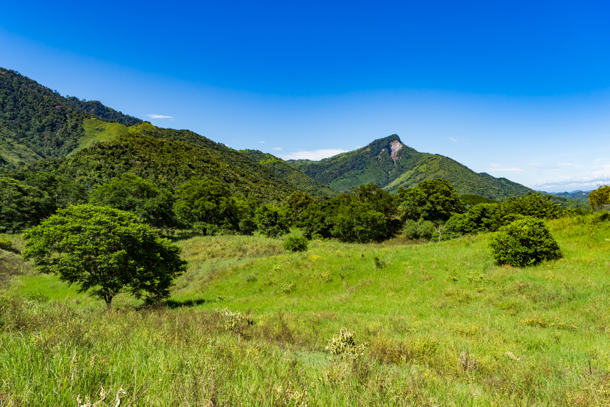 Vendo Finca en La Dorada Caldas