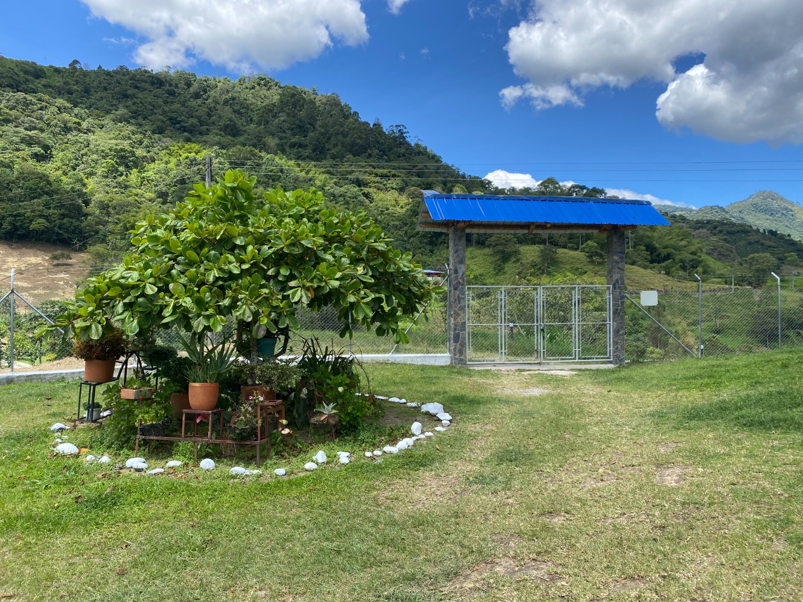 6877620240202092509 Venta de finca vereda San Juan La Nubia en Salento Quindio