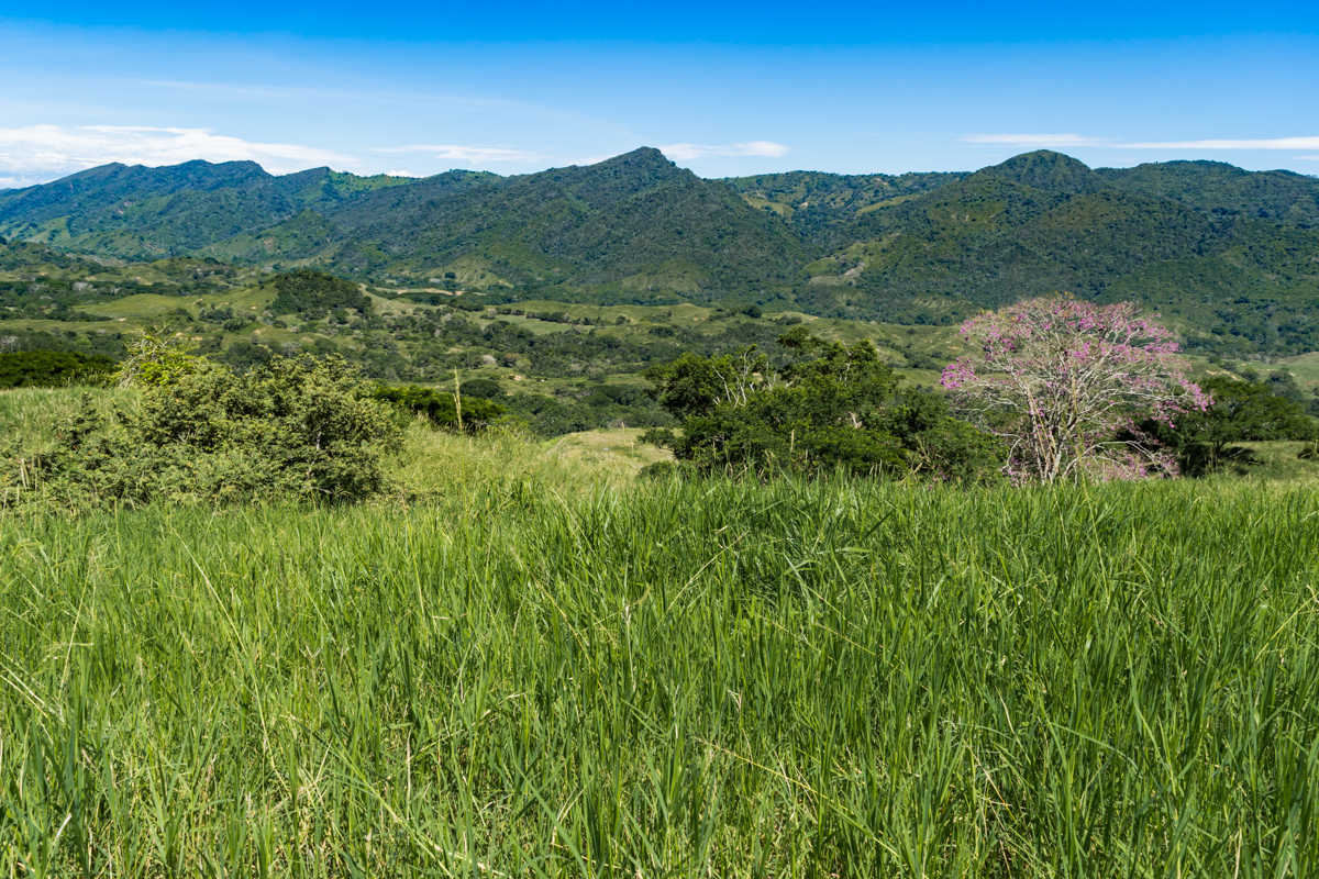 Vendo Finca en La Dorada Caldas