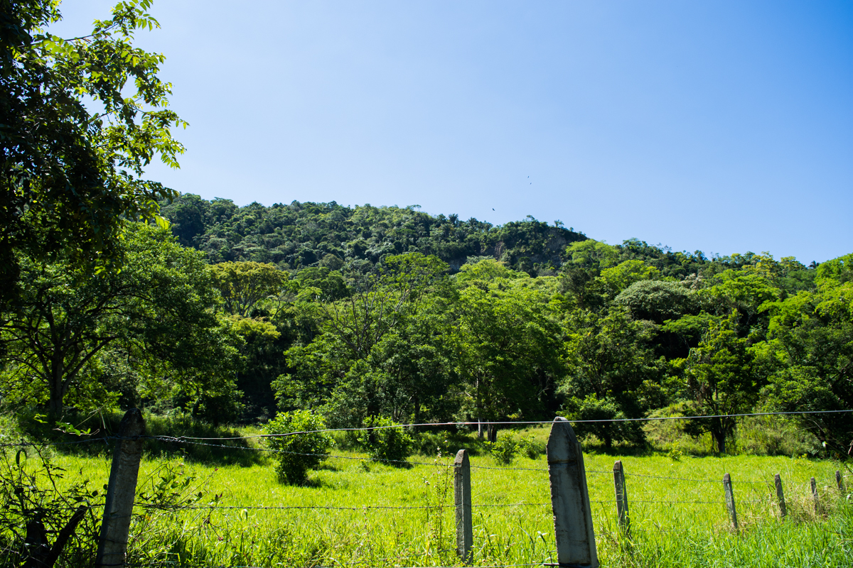 Vendo Finca en La Dorada Caldas