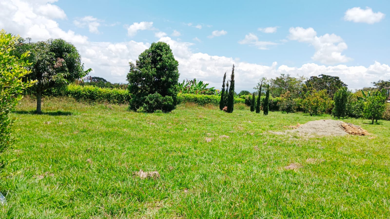 Venta de Lote en Pueblo Tapado Quindio