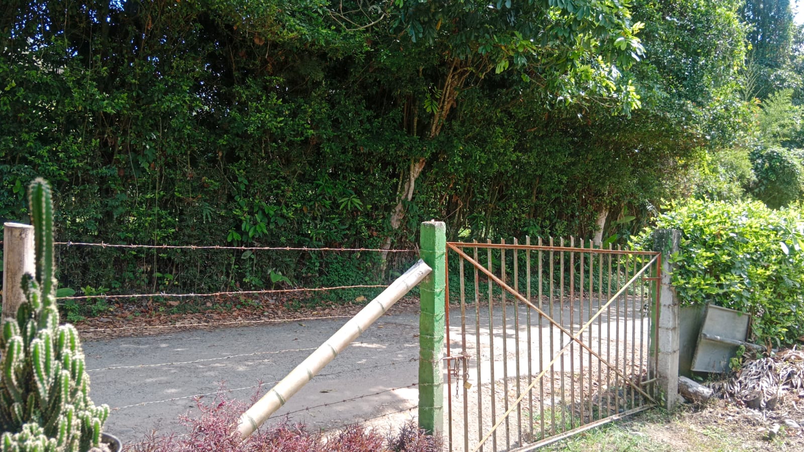 6877820240131034444 Venta de finca con mas de 10 hectáreas en Montenegro Quindío