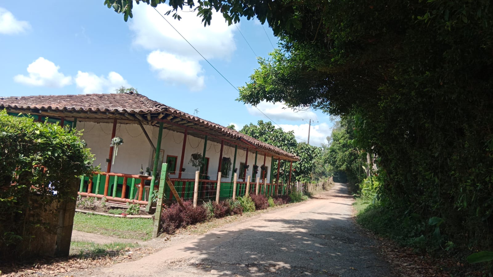 6877920240131034503 Venta de finca con mas de 10 hectáreas en Montenegro Quindío