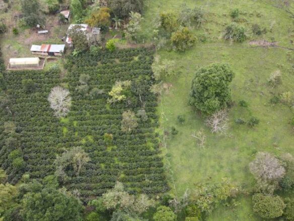 Vendo Finca sobre vía para turismo o producción Salento Quindio