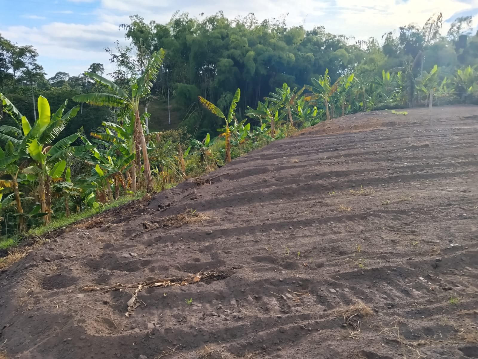 WhatsApp Image 2026-09-14 at 7.14.53 AM (1) Lote en venta de 1.500 m² – Vereda Trocaderos, Quimbaya, Quindío