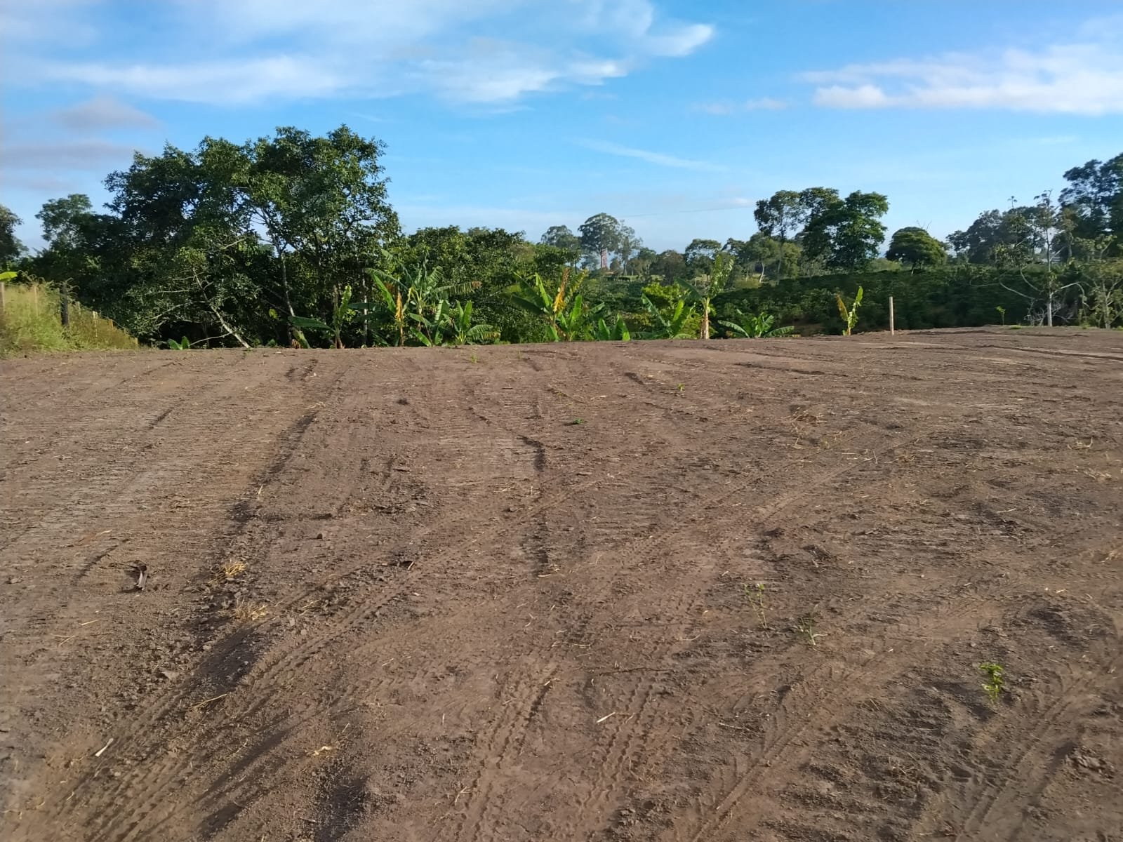 WhatsApp Image 2026-09-14 at 7.14.53 AM (3) Lote en venta de 1.500 m² – Vereda Trocaderos, Quimbaya, Quindío