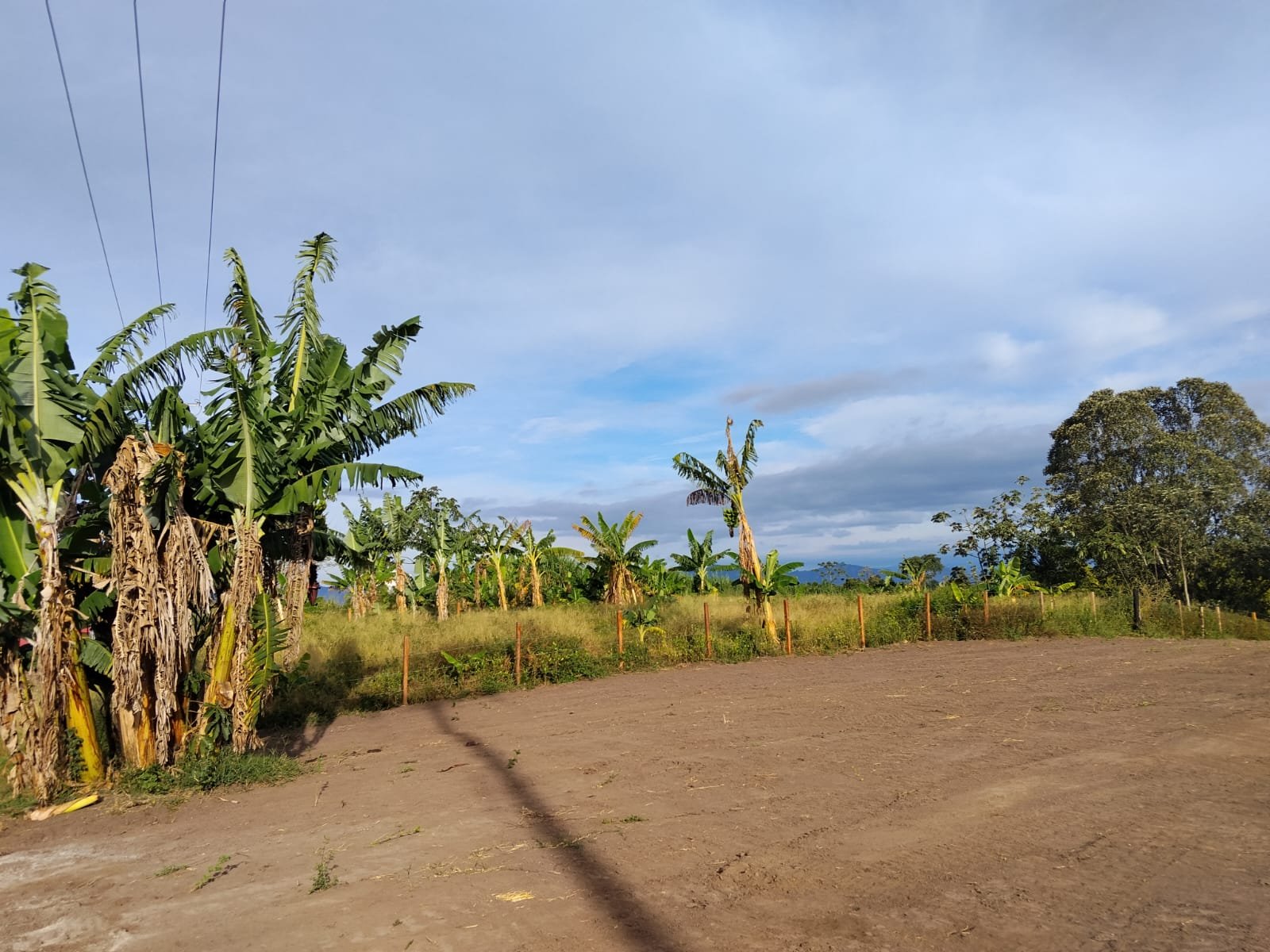 WhatsApp Image 2026-09-14 at 7.14.53 AM (5) Lote en venta de 1.500 m² – Vereda Trocaderos, Quimbaya, Quindío